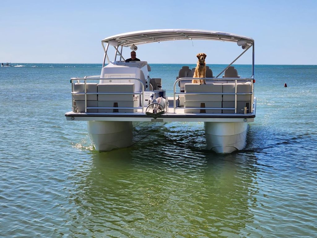 A dog is perched on the rear of a pontoon boat