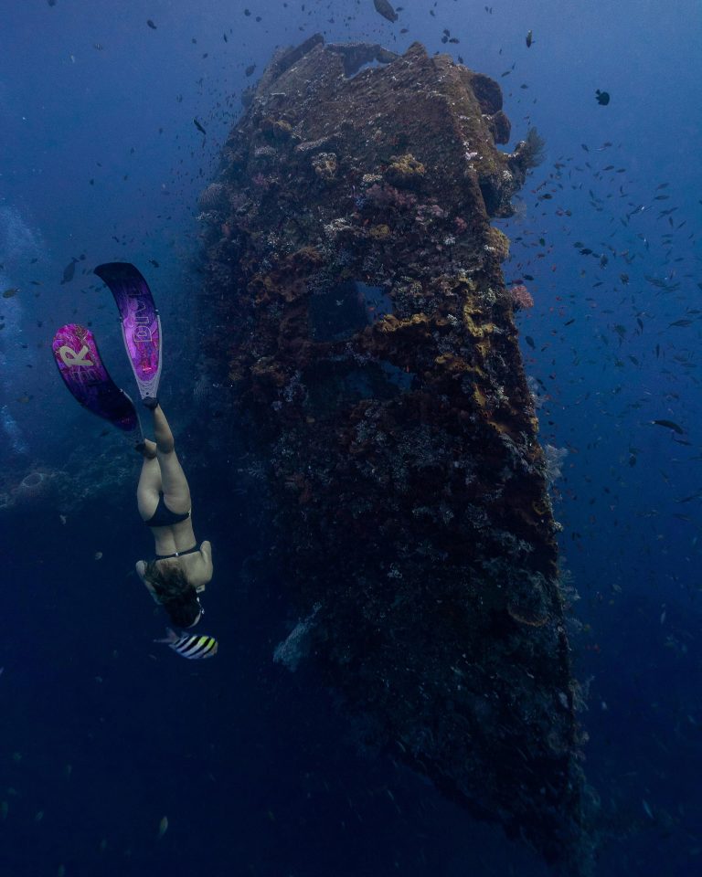 Snorkeling beside wreck with Custom Catch Charters guided reef tour