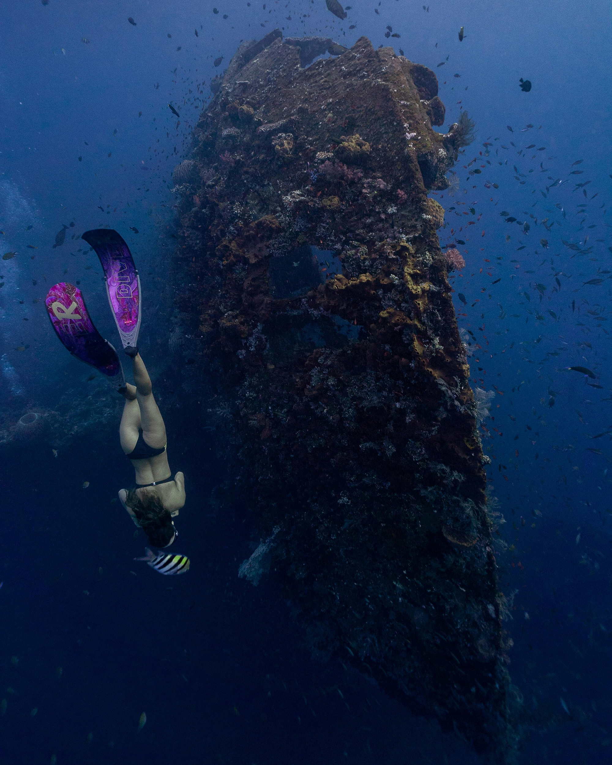 Snorkeling beside wreck with Custom Catch Charters guided reef tour