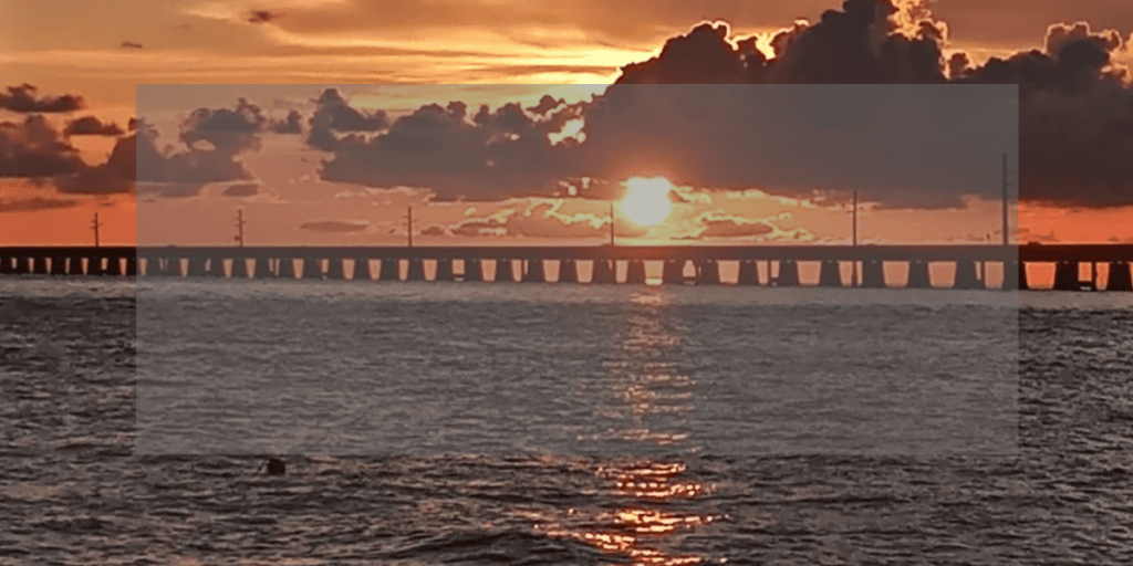 Enjoy and capture the natural beauty of sunset from custom cat cruise