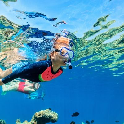 Snorkeler enjoying clear blue waters on a Custom Cat Charters excursion