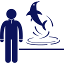 Dolphin encounter icon symbolizing marine adventures with Custom Cat Charters